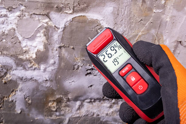 Best Mold Testing  in Caldwell, NJ