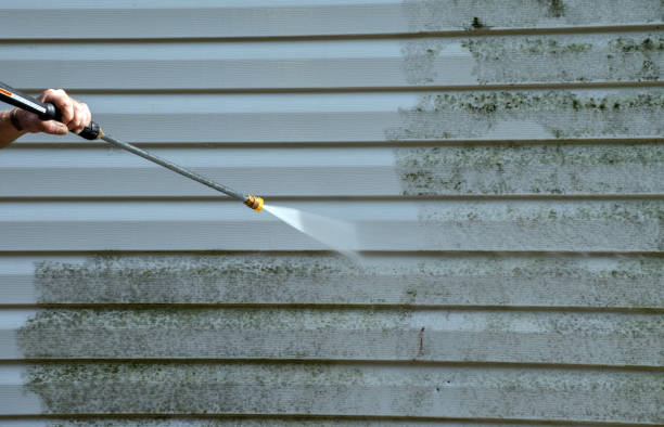 Best Attic Mold Removal  in Caldwell, NJ