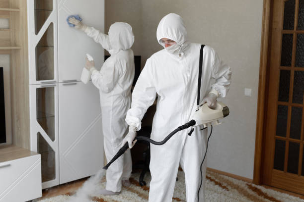 Professional Mold Removal in Caldwell, NJ