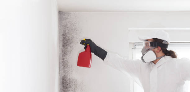 Best Home Mold Removal  in Caldwell, NJ