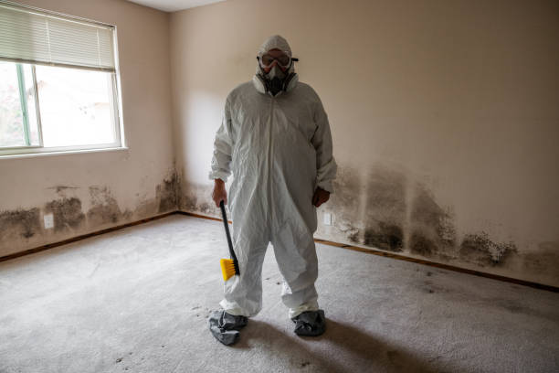 Best Attic Mold Removal  in Caldwell, NJ