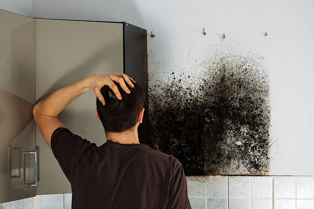 Best Mold Removal Near Me  in Caldwell, NJ